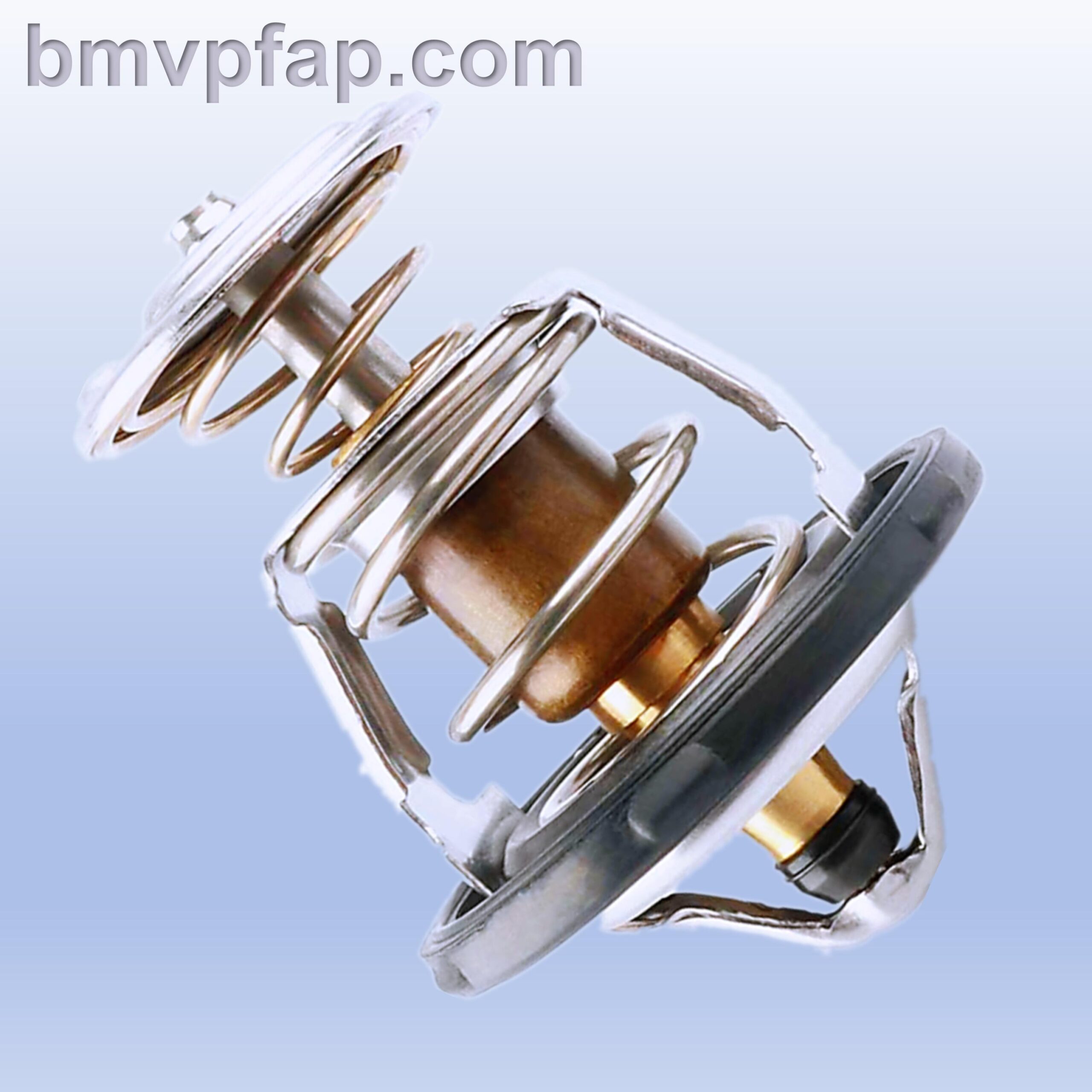 BMVPFAP Global Auto Parts Cooling System_19