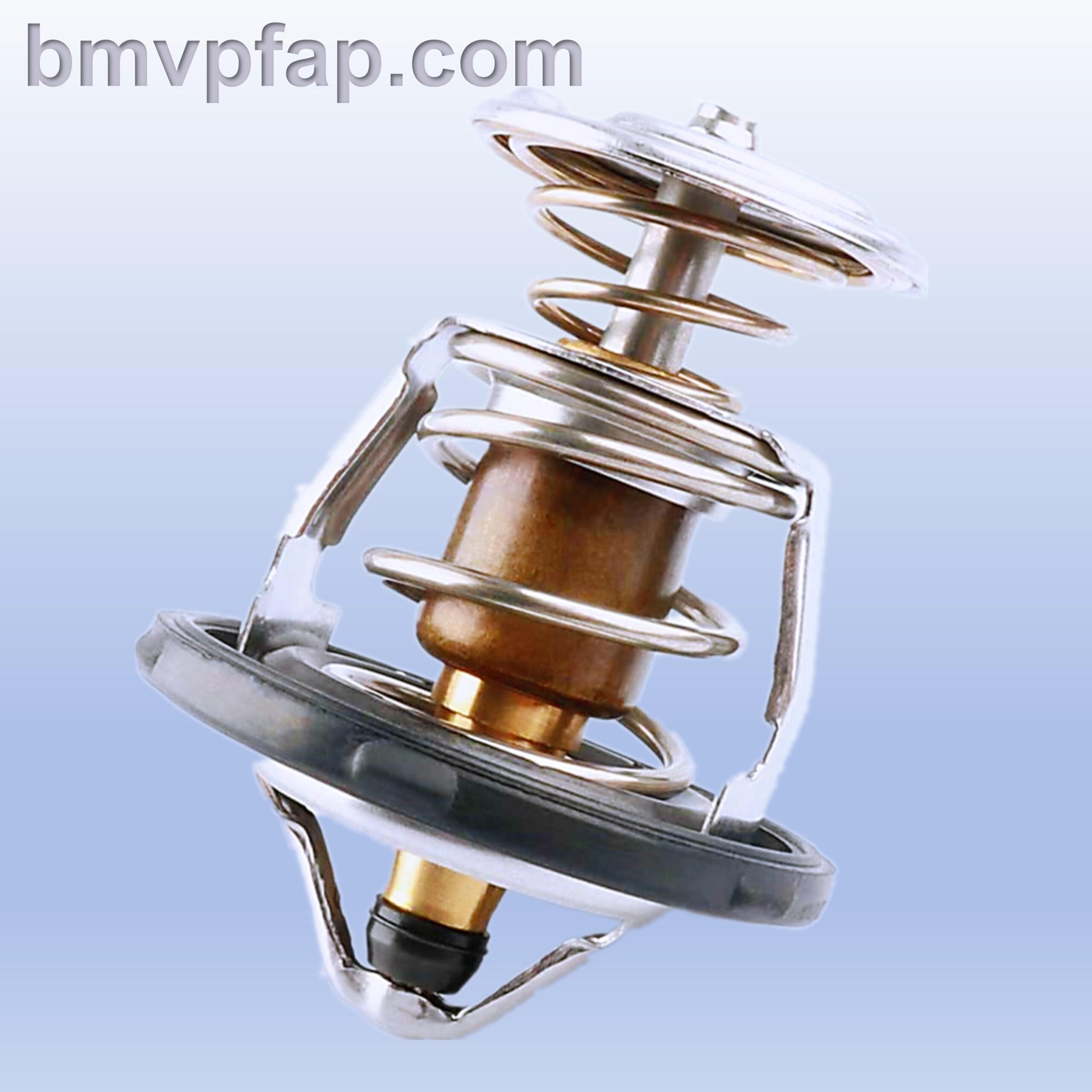BMVPFAP Global Auto Parts Cooling System_20